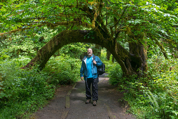 Dan at Arched Tree, Hall of Mosses Trail, Olympic National Park, WA (2017)