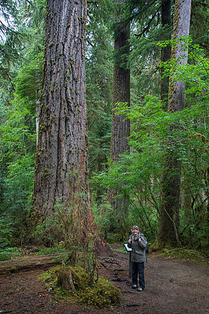Sheryl on Hall of Mosses Trail, Olympic National Park, WA (2017)