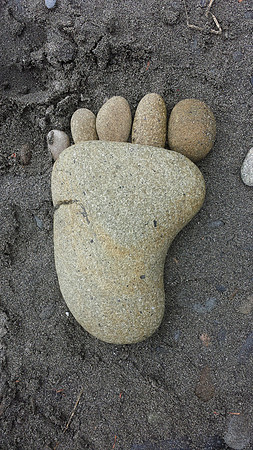 Real Evidence of Big Foot, Ruby Beach, Olympic National Park, WA (2017)