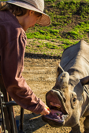 Sheryl Feeding Northern White Rhinoceros, San Diego Zoo Safari Park, Escondido, CA (2017)