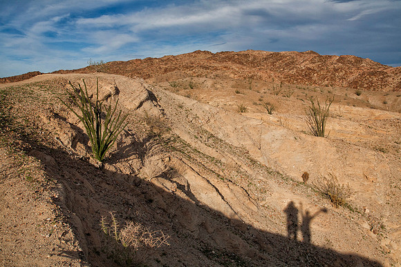 Self Portraits, Anza Borrego Desert State Park, CA (2017)