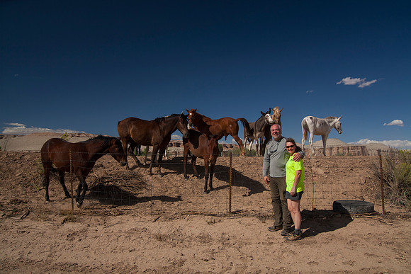Horses, Hanksville, UT (2016)