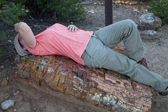 Sheryl Taking a Break on a Petrified Log, Petrified Forest State Park, Escalante, UT (2016)