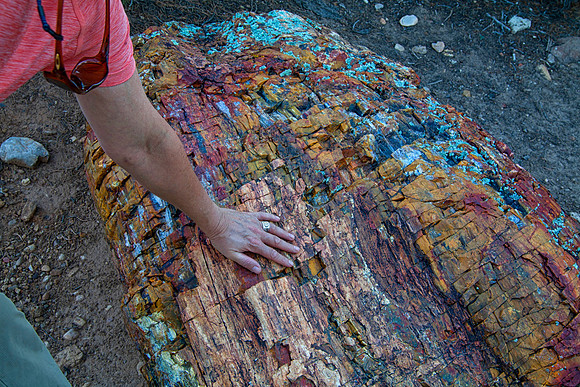 Sheryl With Petrified Log, Petrified Forest State Park, Escalante, UT (2016)