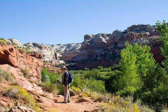 Lower Calf Creek Falls Trail, Escalante, UT (2016)