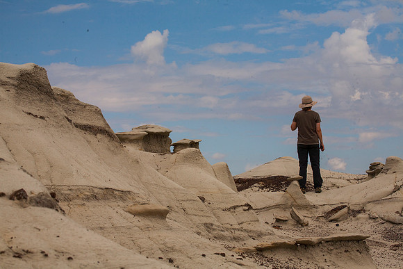 Sheryl Looking Out Over the Bisti, NM (2016)