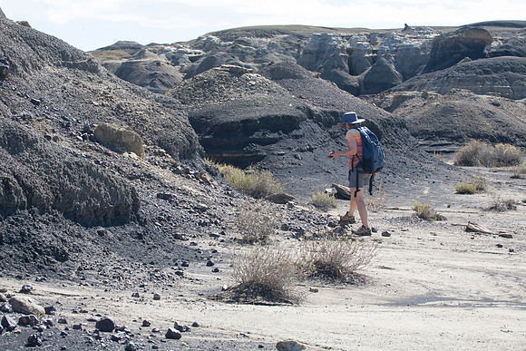 Sheryl at Bisti De-Na-Zin Wilderness, NM (2016)
