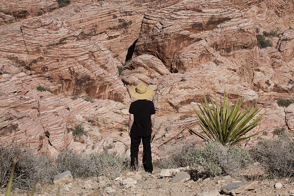 Sheryl at Calico Springs, Red Rock Canyon National Conservation Area, NV (2014)