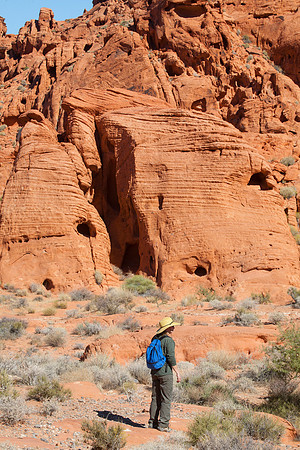 Sheryl, Valley of Fire State Park, NV (2014)