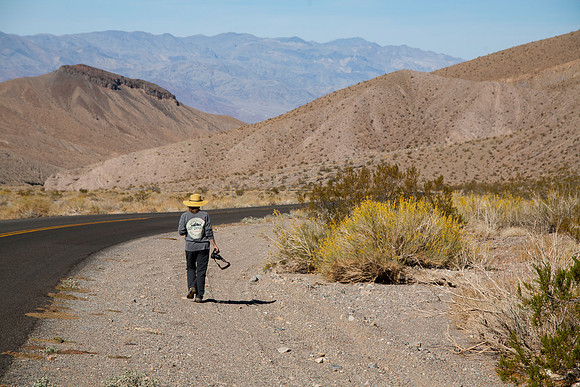 On the Hunt, Sheryl at Death Valley National Park, CA (2014)