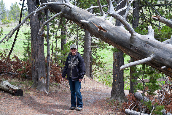 Sheryl on South Rim Trail, Yellowstone National Park, WY (2013)