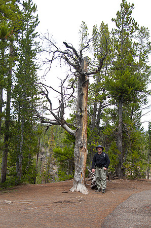 Dan on South Rim Trail, Yellowstone National Park, WY (2013)