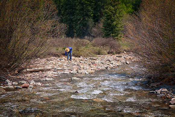 Sheryl Hunting for Rocks Along Castle Creek, Ashcroft, CO (2012)