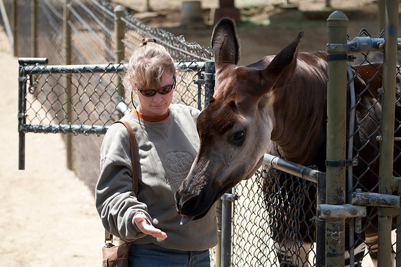 Sheryl Feeding an Opaki, San Diego Wild Animal Park, Escondido, CA (2010)