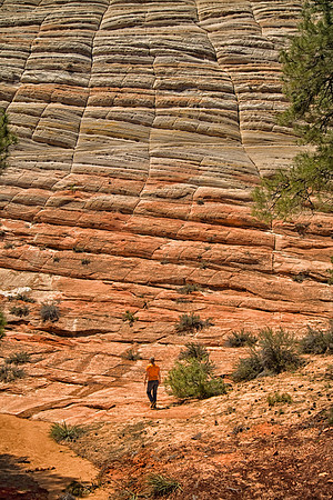 Sheryl at Base of Checkerboard Mesa, Zion National Park, UT (2010)
