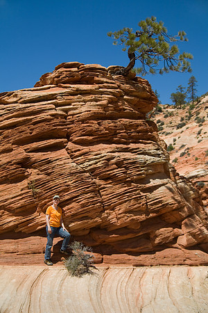 Sheryl at Jeffrey Pine, Zion National Park, UT (2010)