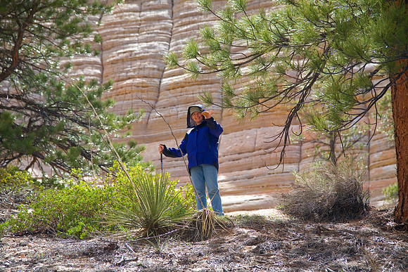 Sheryl Finds a Rock!  Checkerboard Mesa, Zion National Park, UT (2010)