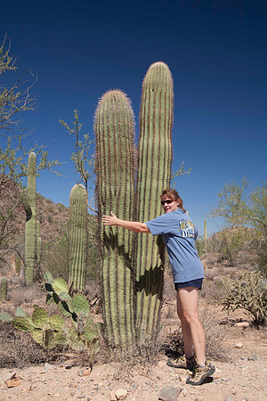 Only Sheryl Would Hug a Saguaro, Saguaro National Park, Tucson, AZ (2010)