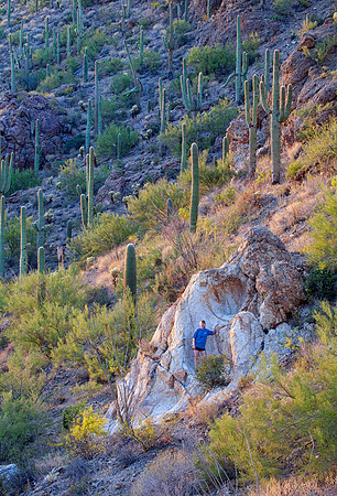 Sheryl With Saguaro Afterglow, Gates Pass, Saguaro National Park, AZ (2010)