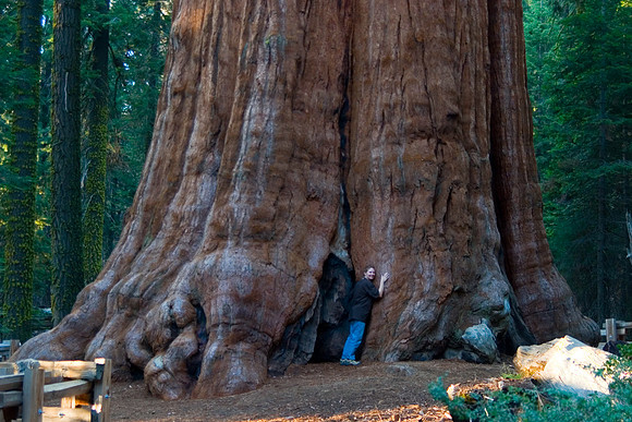 The Tree Hugger, Sheryl and General Sherman at Sequoia National Park, CA (2007)
