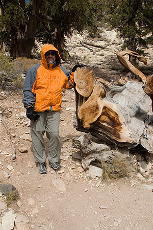 Dan, Schulman Grove, Ancient Bristlecone Pine Forest, Inyo National Forest, Owens Valley, CA (2007)