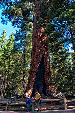 Us at the Grizzly Giant, Mariposa Grove of Giant Sequoias, Yosemite National Park, CA (2007)