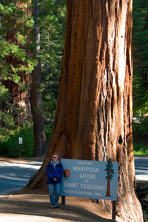 Sheryl at Mariposa Grove of Giant Sequoias, Yosemite National Park, CA (2007)
