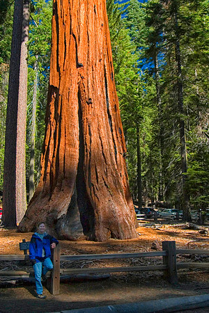 Sheryl at Mariposa Grove of Giant Sequoias, Yosemite National Park, CA (2007)
