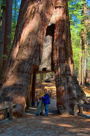 Dan & Sheryl Inside the California Tunnel Tree, Mariposa Grove of Giant Sequoias, Yosemite National Park, CA