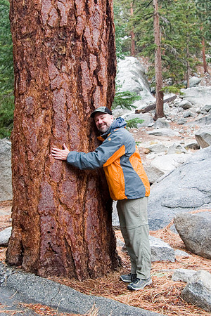 Hugging a Ponderosa Pine, Mt. Whitney Trailhead, Owens Valley, CA (2007)