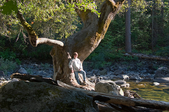 Sheryl at Ansel Adams Tree, Merced River, Yosemite National Park, CA (2007)