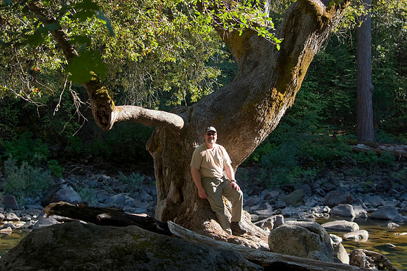 Dan at Ansel Adams Tree, Merced River, Yosemite National Park, CA (2007)