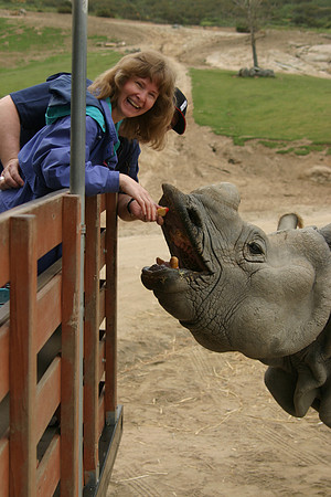Sheryl Feeding Southern White Rhinoceros, San Diego Wild Animal Park, Escondidio, CA (2006)