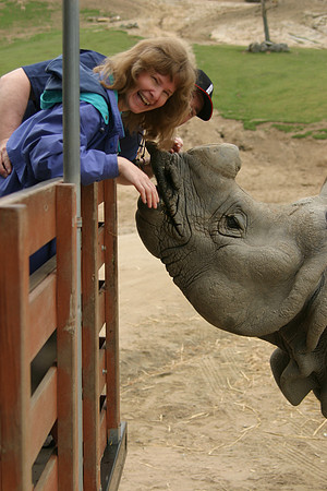 Sheryl Feeding Southern White Rhinoceros, San Diego Wild Animal Park, Escondidio, CA (2006)