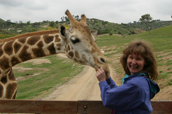 Sheryl Feeding Masai Giraffe, San Diego Wild Animal Park, Escondido, CA (2006)