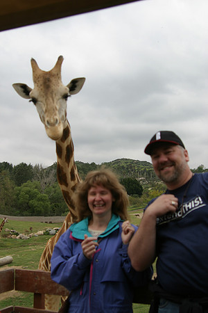 Feeding Masai Giraffe, San Diego Wild Animal Park, Escondido, CA (2006)