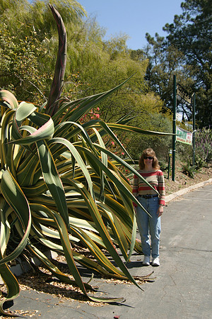 Sheryl with Giant Agave, Old Town, San Diego, CA (2006)