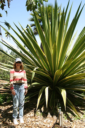 Sheryl with Giant Agave, Old Town, San Diego, CA (2006)