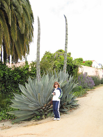 Sheryl with Century Agave, Old Town, San Diego, CA (2006)