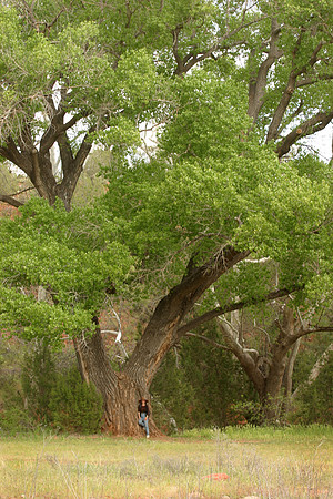 Sheryl Against Cottonwood, Sedona, AZ (2005)