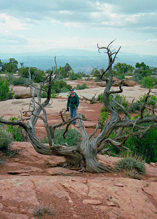 Dan on the White Rim Trail, Canyonlands National Park, UT (2003)