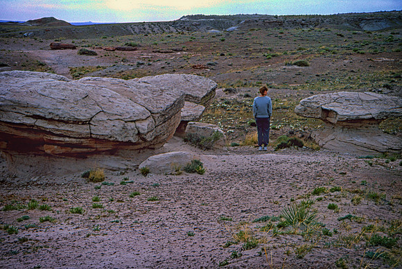 Sheryl at Blue Mesa, Petrified Forest National Park, AZ(2003)