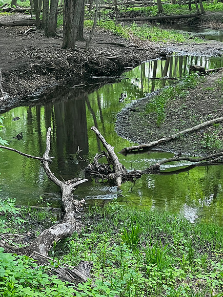 Starved Rock State Park, IL