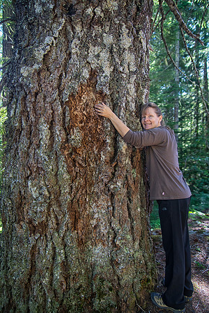 Sheryl Cannot NOT Hug a Big Tree, Mt. Rainier National Park, WA (2017)