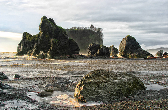 Low Tide, Olympic National Park, WA (March 25, 2004, 5:27pm)