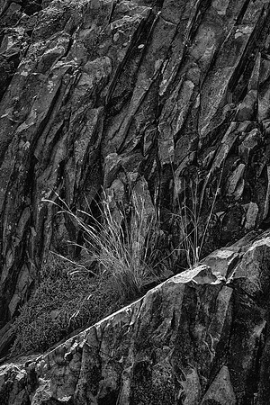 Extrusive Rock Layers, Modesta Canyon, Chihuahuan Desert Nature Center, TX
