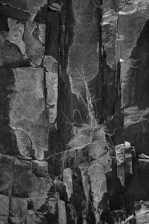 Extrusive Rock Layers, Modesta Canyon, Chihuahuan Desert Nature Center, TX