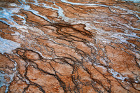 Scars on the Earth, Thermophiles and Travertine, Midway Geyser Basin, Yellowstone National Park, WY