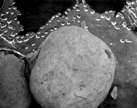Rock, Leaf and Frozen Stream, Graue Mill, Elmhurst, IL (November 15, 1986, approx 8:00 am)