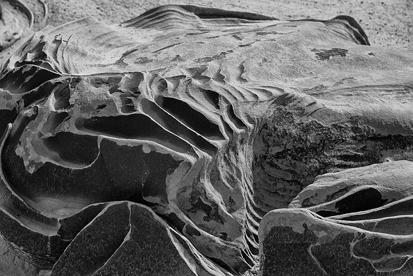 Cracked Eggs, Bisti/De-Na-Zin Wilderness, NM